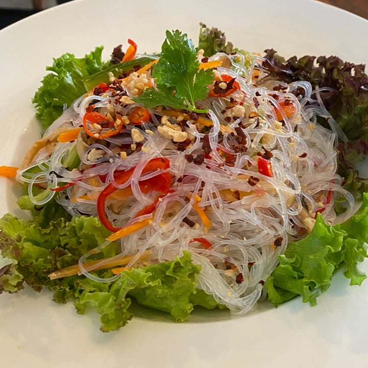 photo of Clover Plant Based Kitchen and Bar Thai Style Glass Noodle Salad shared by @brandon on  24 Sep 2023 - review