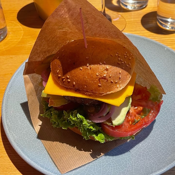 photo of RoseHip Vegan Bistro Mexican Beyond Burger shared by @ro-ngodrup-dorje on  09 Sep 2025 - review