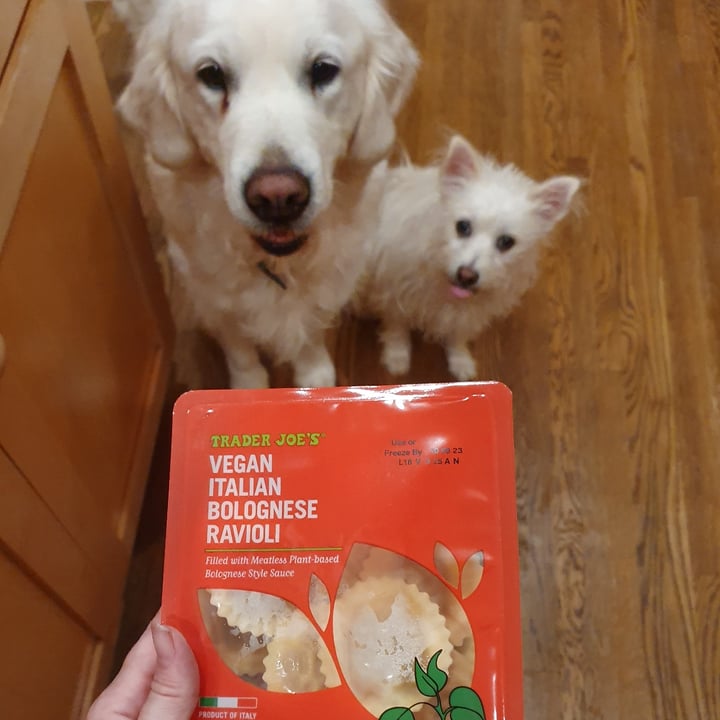 photo of Trader Joe's Vegan Italian Bolognese Ravioli shared by @anistavrou on  17 Oct 2023 - review