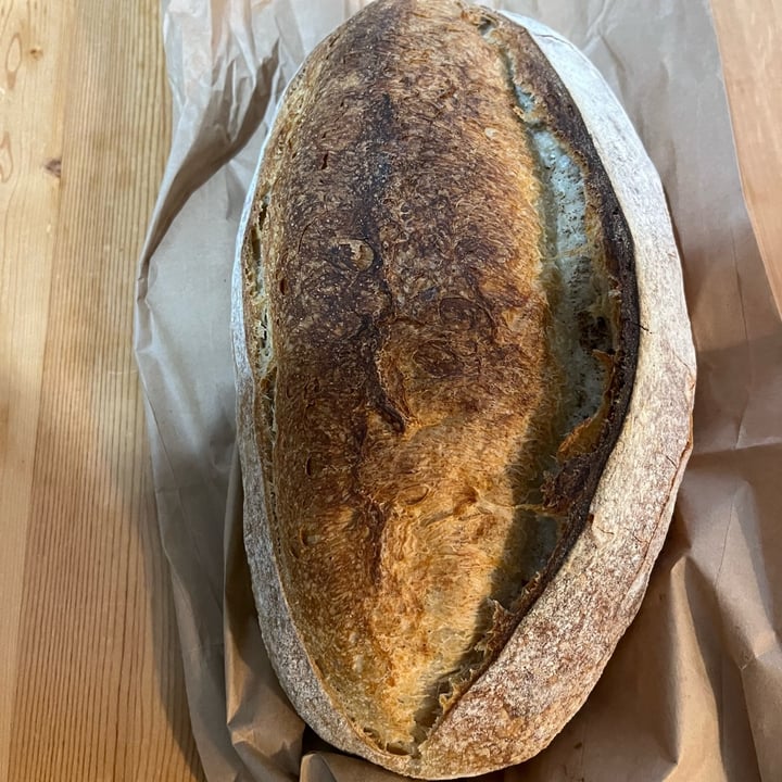 photo of Sprout Bread Farm Loaf shared by @ecoveg on  22 Nov 2024 - review