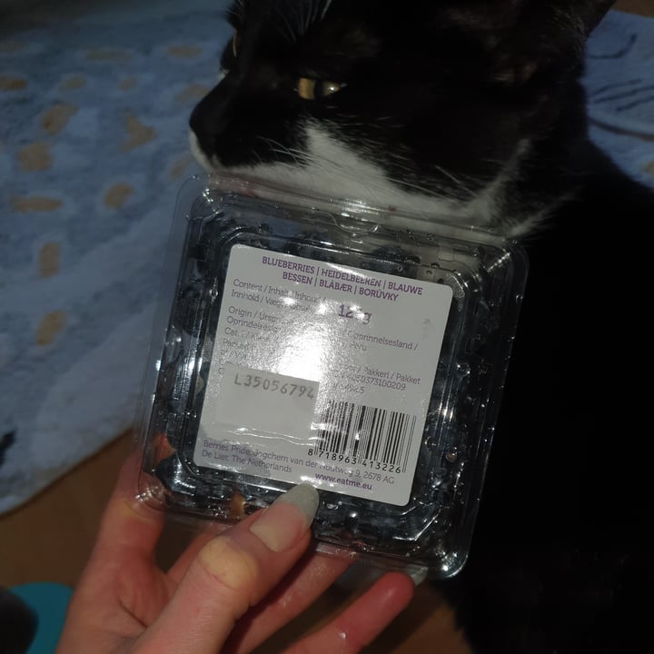 photo of Eat me Blueberries shared by @adropoceanic on  09 Oct 2025 - review