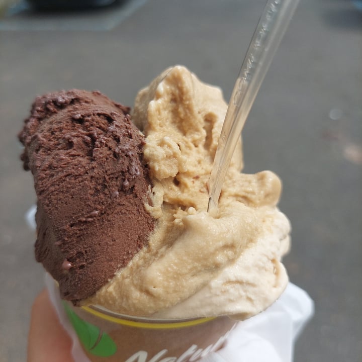 photo of Gelateria Splash gelato nespresso gianduia e nocciola shared by @kiki8 on  21 Jul 2024 - review