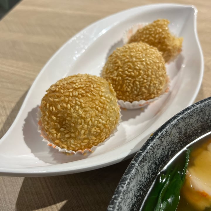 photo of VeganBliss 蔬福 Fried Sesame Balls shared by @rajesv on  01 Jan 2024 - review