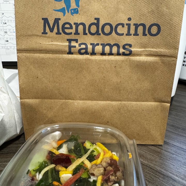 photo of Mendocino Farms Kale & Apple Rainbow Salad shared by @yumi on  02 Oct 2025 - review