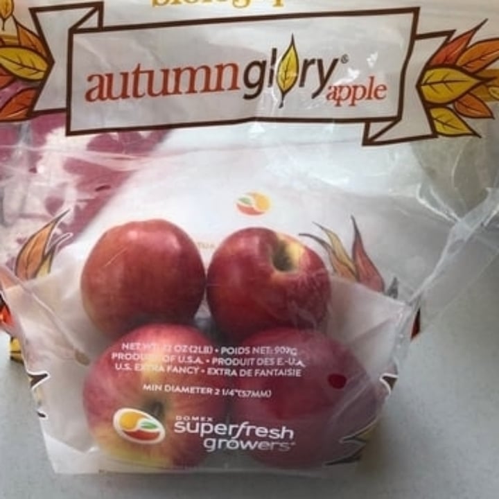 photo of Super fresh growers Autumn glory apples shared by @humorousbee07 on  24 Dec 2024 - review