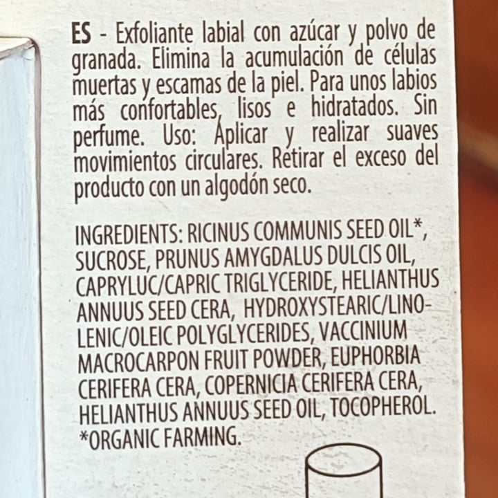 photo of Beauty Made Easy | Le papier Lip scrub shared by @felinavegana on  13 Jun 2025 - review