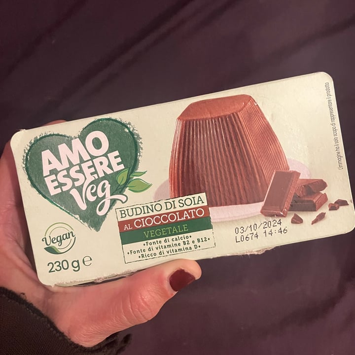 photo of Amo Essere Veg budino di soia al cioccolato shared by @hellf on  27 Apr 2024 - review