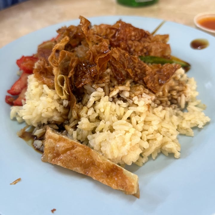 photo of Shui Xian Su Shi Yuan Vegetarian Vegan Chicken Rice shared by @soy-orbison on  13 Mar 2024 - review