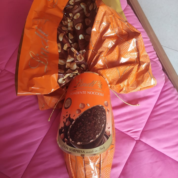 photo of Lindt Uovo fondente e nocciole shared by @fraveganita on  31 Mar 2024 - review