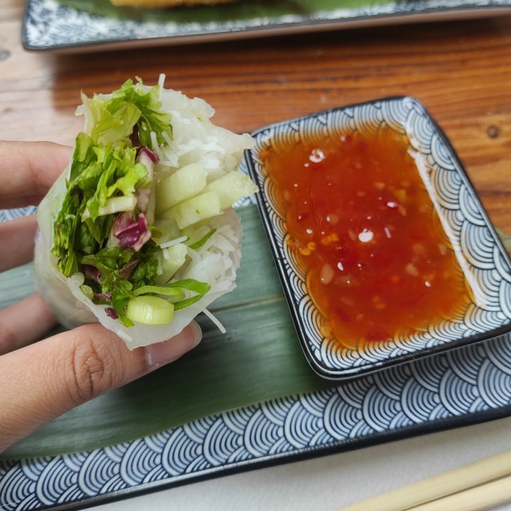 photo of Chilli Fusion Streetfood Vietnam Spring Rolls shared by @rosli on  30 Aug 2025 - review