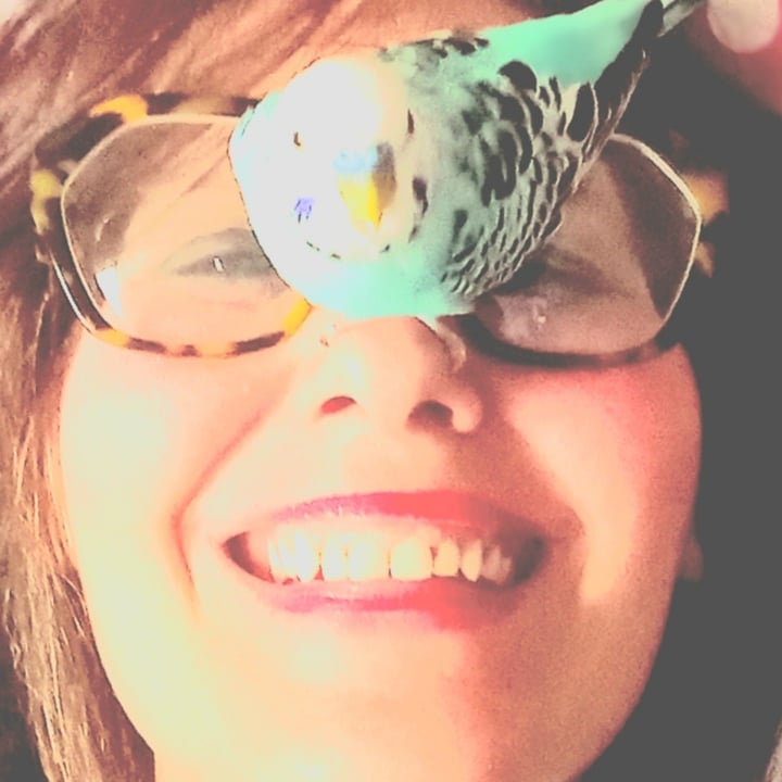 photo shared by @ms-chicken on  06 Aug 2024 - post
