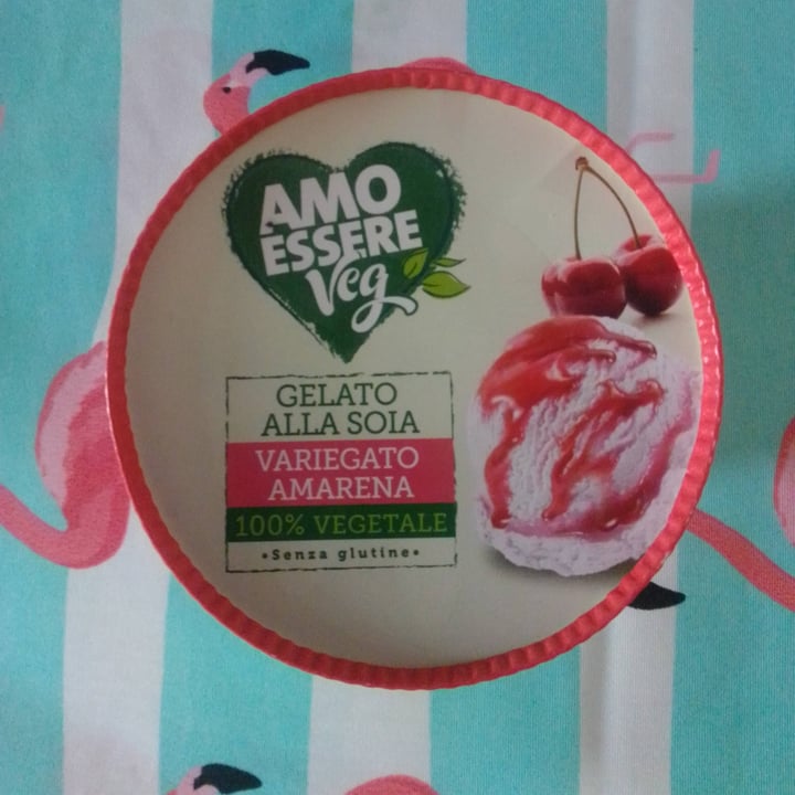photo of Amo Essere Veg gelato alla soia variegato amarena shared by @robertaboschi on  26 Apr 2024 - review