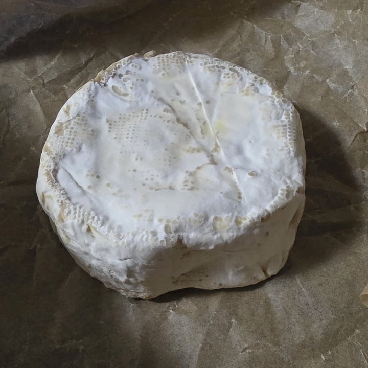 photo of Cajù Camembert shared by @nowgivememybones on  28 May 2025 - review