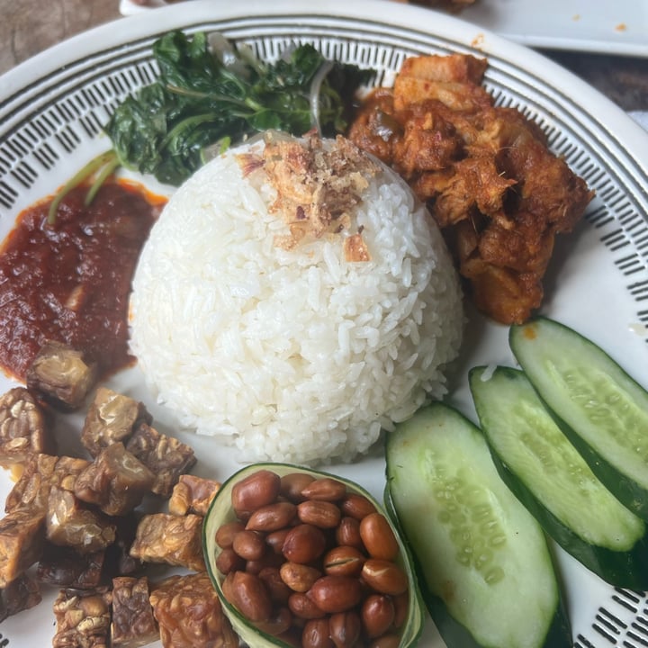 photo of The Hungry Tapir Nasi Lemak shared by @crueltyfreetan on  09 Apr 2024 - review