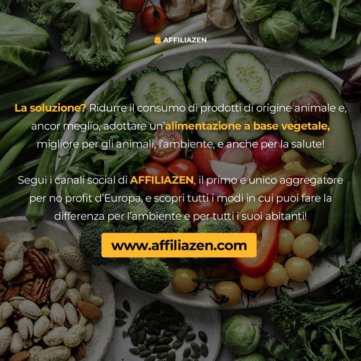 photo shared by @affiliazen on  22 Jan 2025 - post