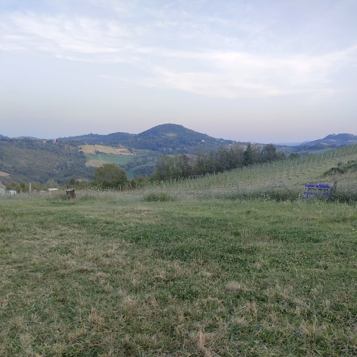photo of Il Campo di Fave Friggione con Focaccia shared by @irene80 on  28 Aug 2023 - review