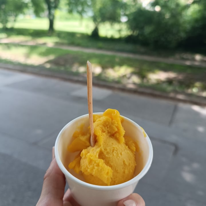 photo of KÚTHÁZ Újhullámos kávékortyoló mango ice cream shared by @flowvegan on  10 Jun 2024 - review