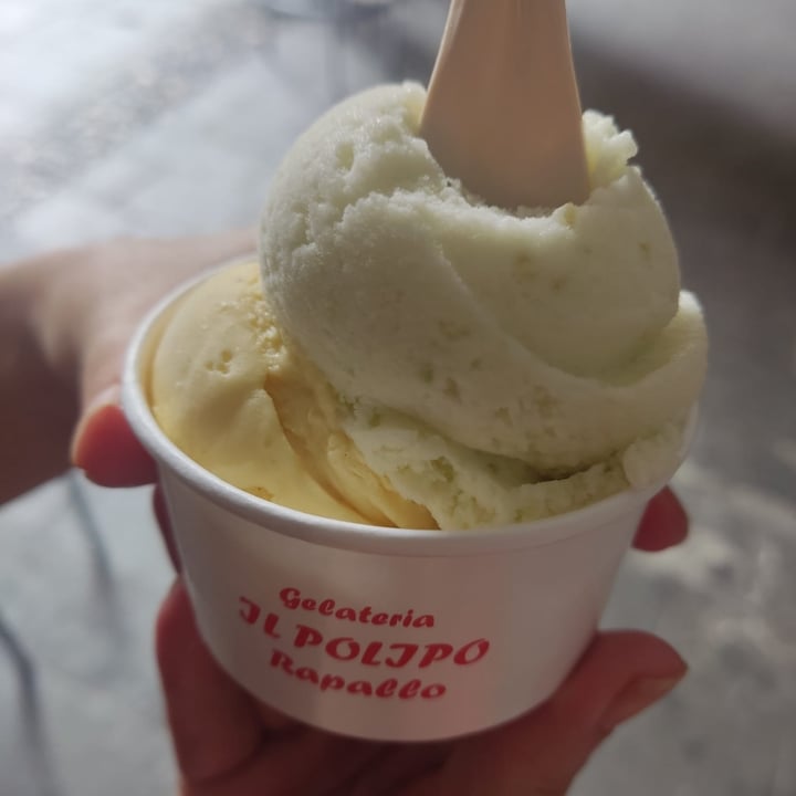 photo of Gelateria The Octopus (Gelateria Il Polipo) Gelato Mela Verde e vaniglia Vegan shared by @ire86 on  20 Aug 2023 - review