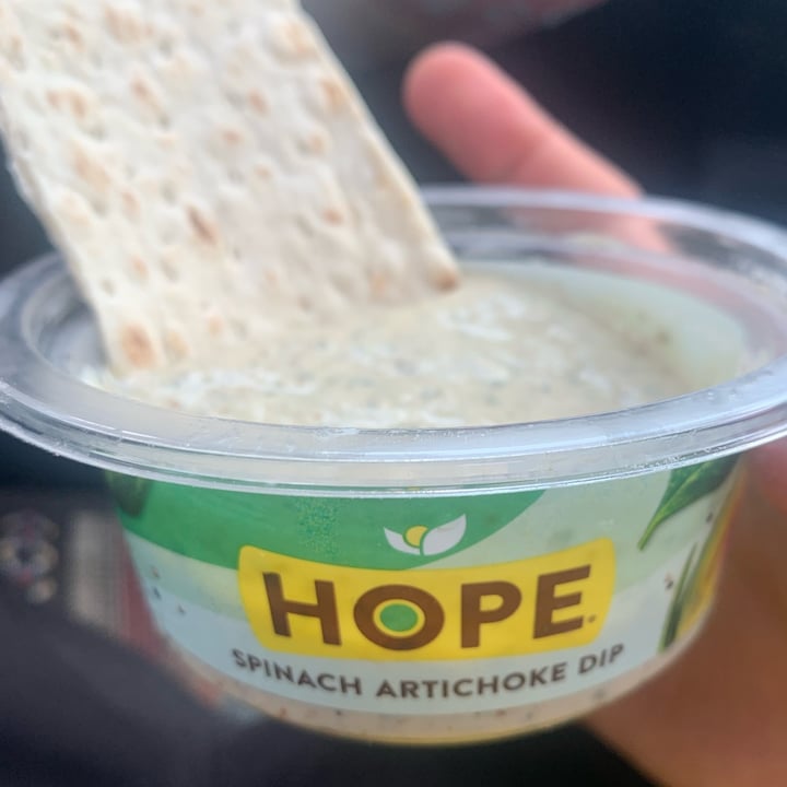 photo of HOPE Foods Spinach artichoke cashew & almond dip shared by @sustainablesam on  12 May 2024 - review