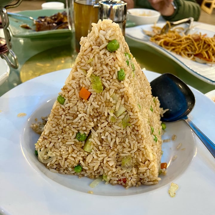 photo of Bodhi Village inc Vegetable Fried Rice shared by @manjugarg on  09 Dec 2023 - review