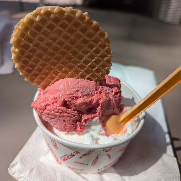 photo of La Mamma Gelateria Helado de yogur vegano y frambuesa shared by @vanessaprats on  17 Aug 2024 - review