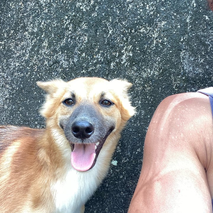 photo shared by @whereslucie on  23 Aug 2024 - post