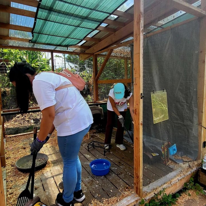 photo shared by @alohaanimalsanctuary on  19 Sep 2024 - post
