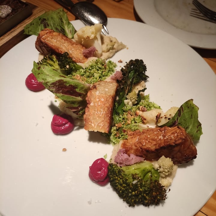 photo of Rasoterra Tempeh d'ametlles shared by @claveg on  23 Mar 2024 - review