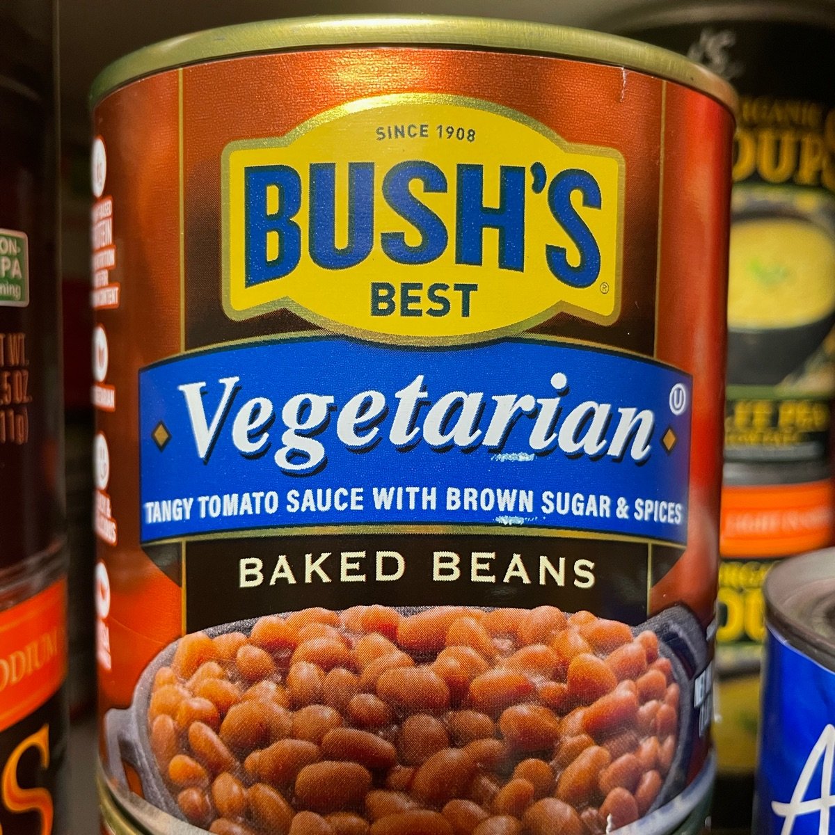 Bush's Best Vegetarian Baked Beans Reviews abillion