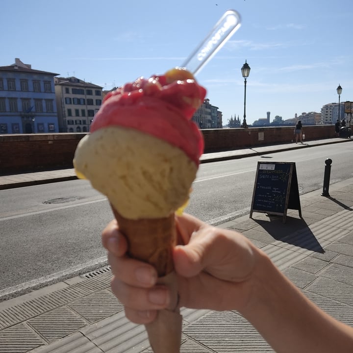 photo of Gelateria De' Coltelli Gelato shared by @-fede on  11 Sep 2023 - review