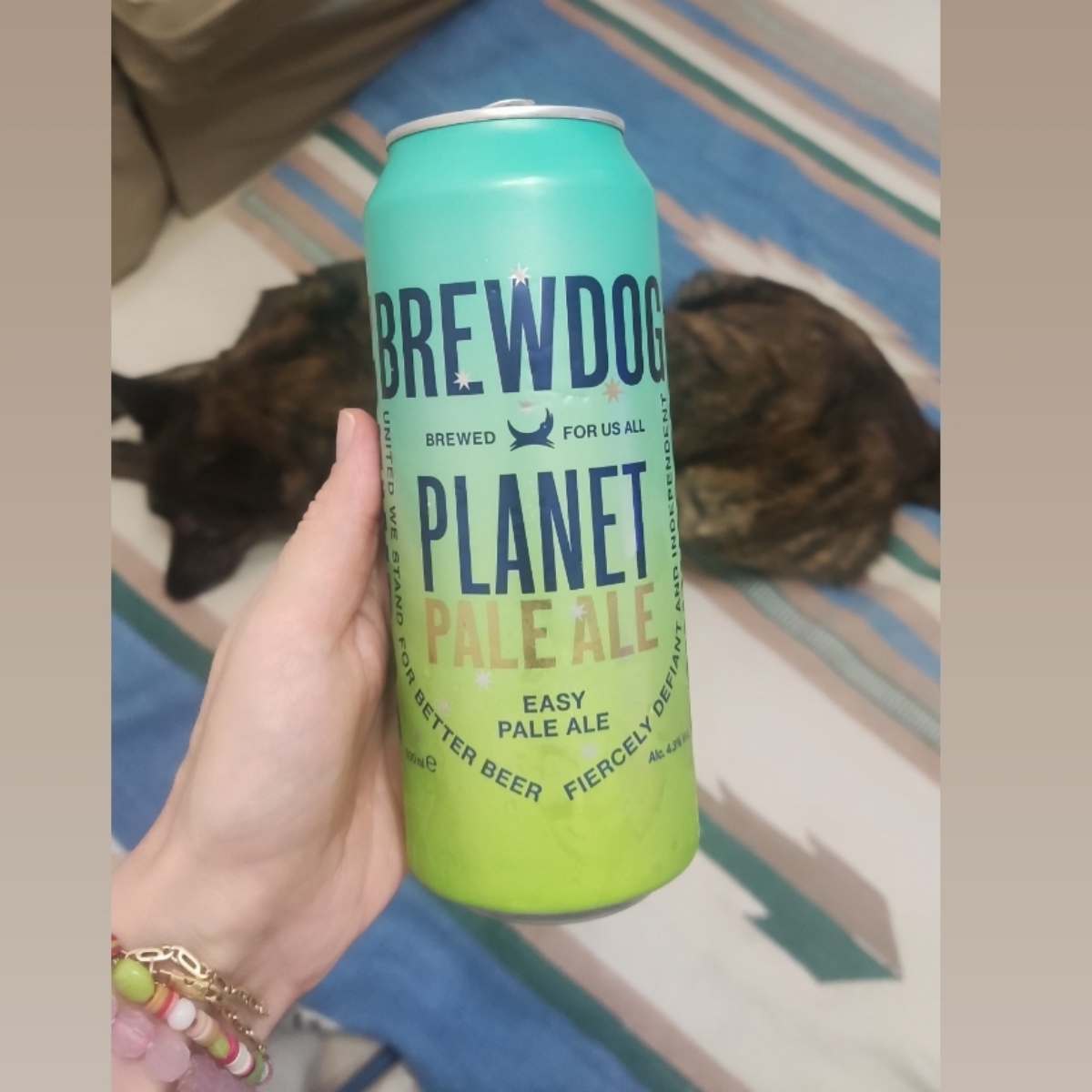 Brewdog Pale Reviews abillion