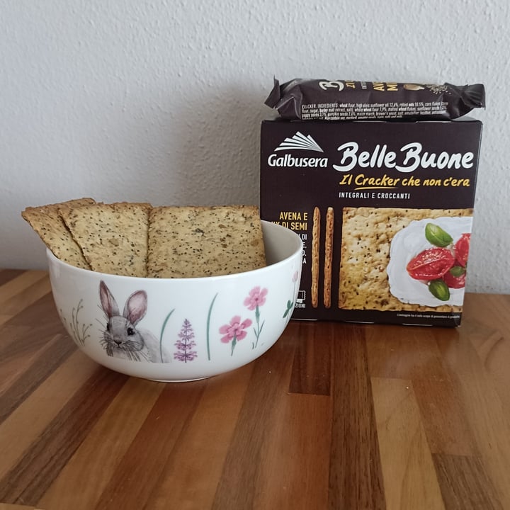 photo of Galbusera Belle Buone - Il Cracker Che Non C’era - Avena e Mix Di Semi shared by @-pervinca- on  02 Jun 2025 - review