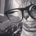 @zombiecat3 profile image