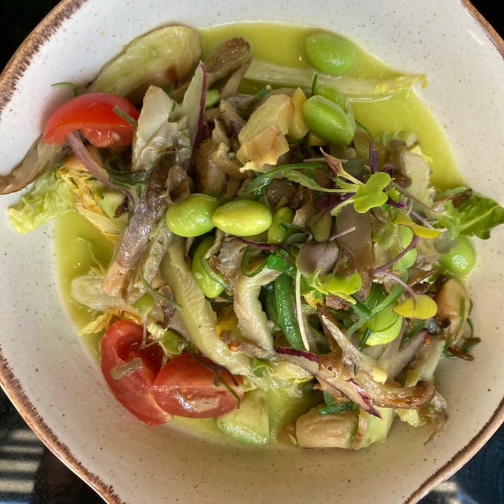 photo of Wild Food mushroom and bean salad shared by @sanleeping on  12 Apr 2024 - review