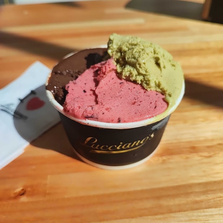 photo of Lucciano's Helado Dark 72% Y Frutales shared by @barweimberg on  14 Dec 2024 - review