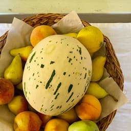 Azienda Agricola Don Camillo
