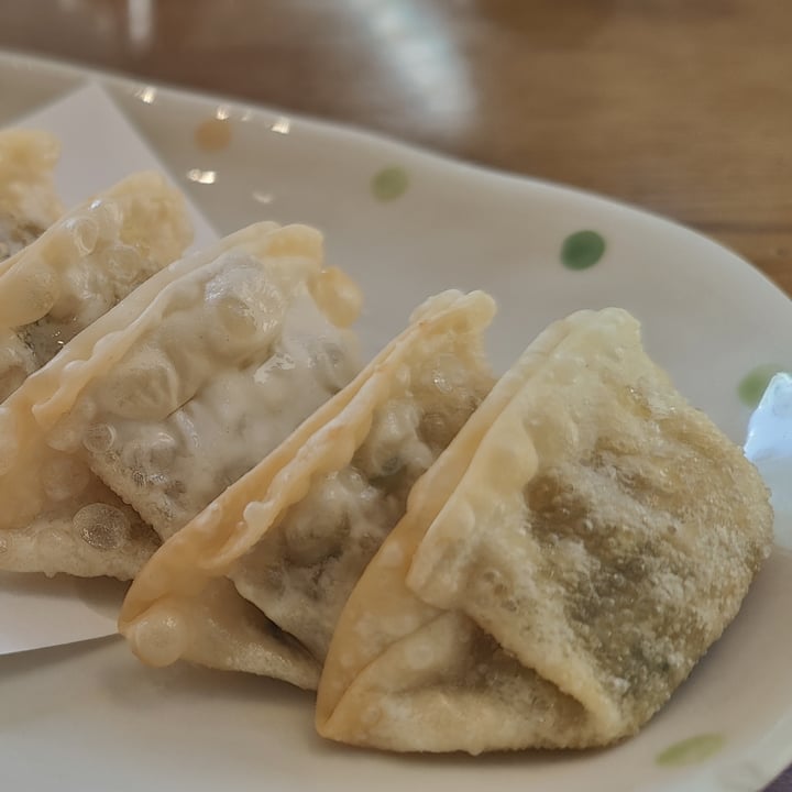 photo of The Bop Vegetable Mandu (Dumplings) shared by @mikebroadhead on  27 Aug 2025 - review