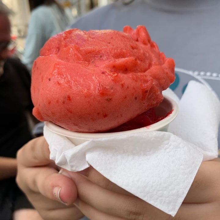 photo of Veganista V Strawberry-agave shared by @miriam27 on  19 Jul 2024 - review