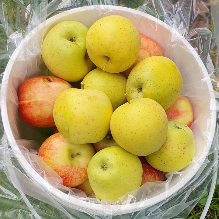 photo of Beilke Family Farm U-Pick Apples shared by @anistavrou on  11 Dec 2024 - review