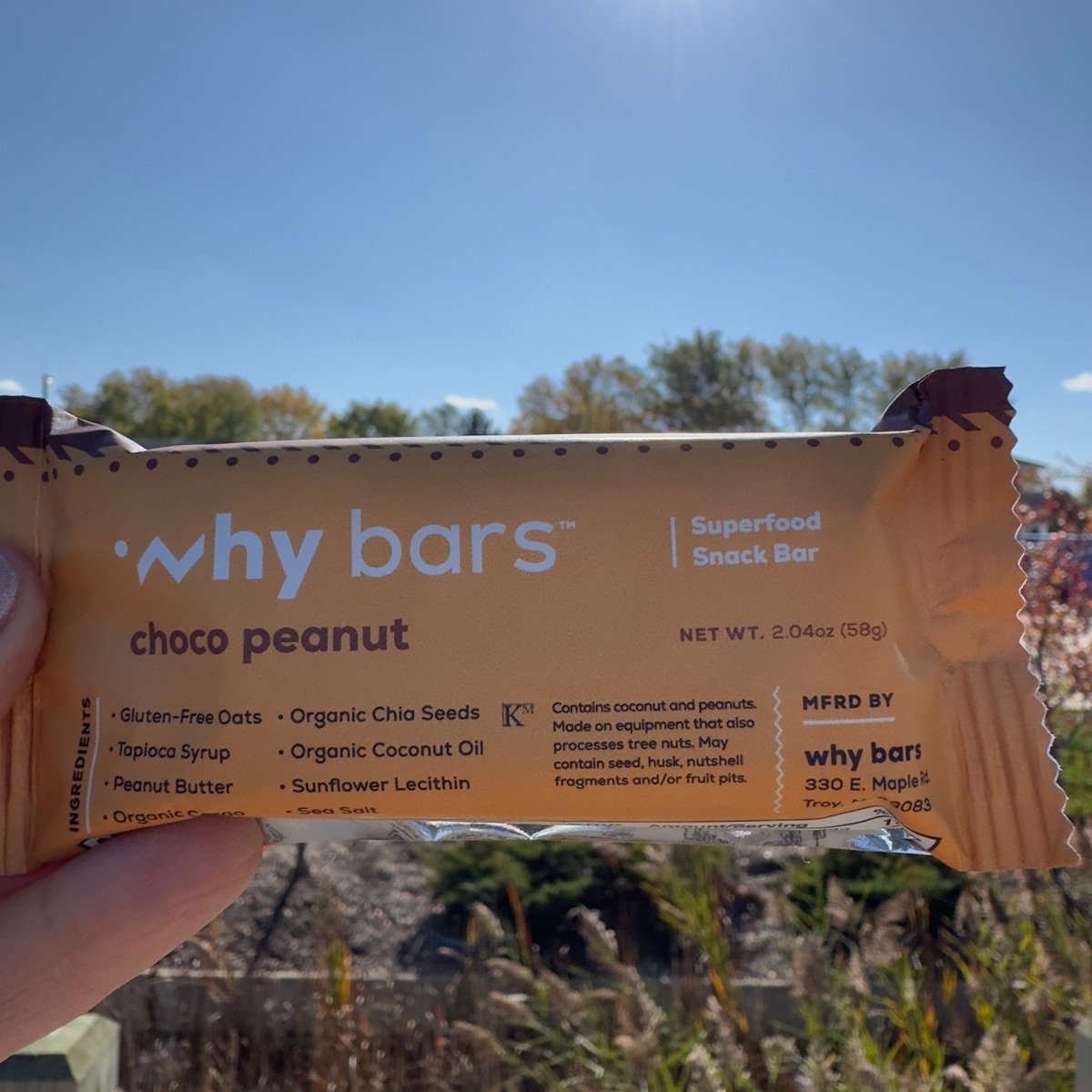 why bars Choco Peanut Reviews abillion