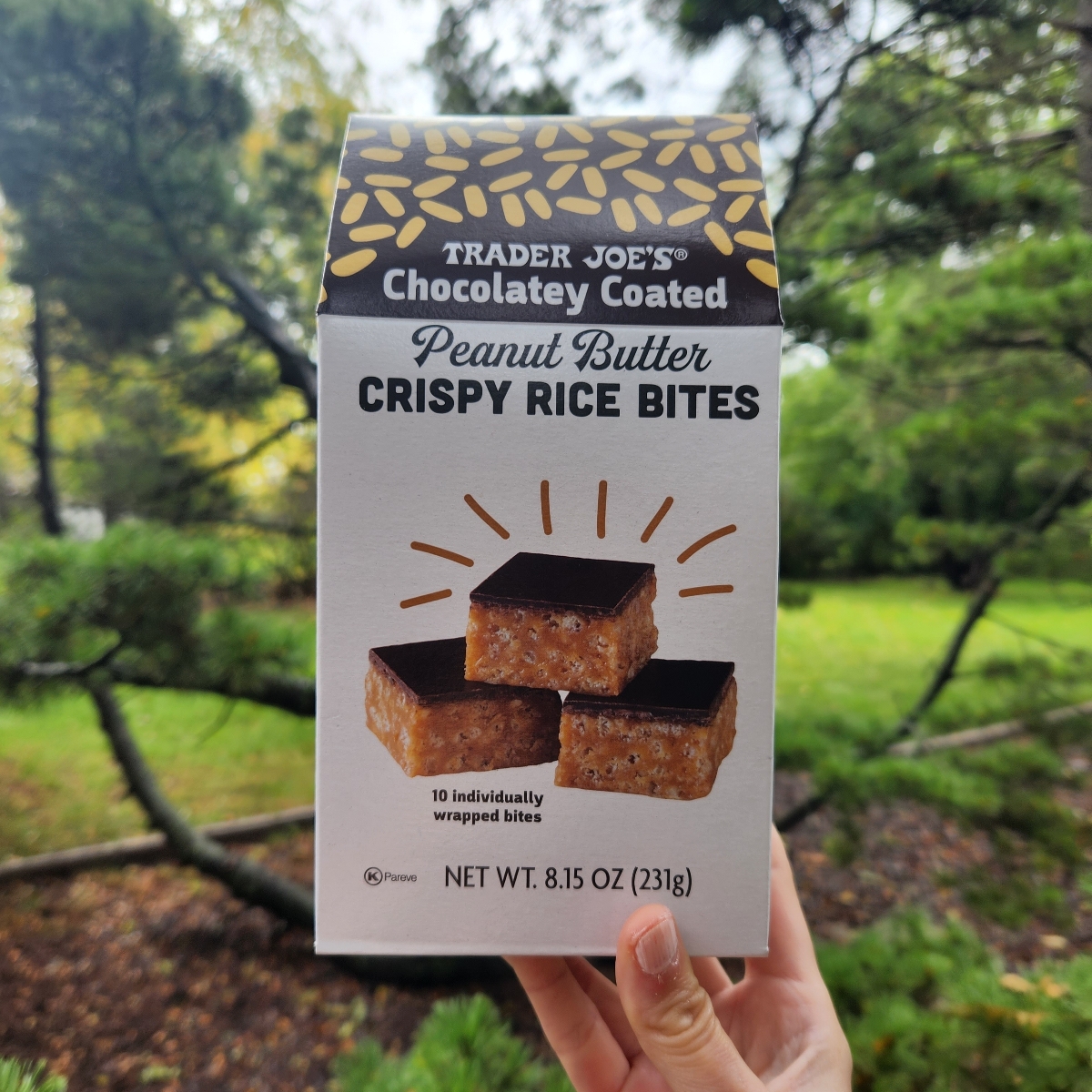 Trader Joe's Chocolatey Coated Peanut Butter Crispy Rice Bites Reviews