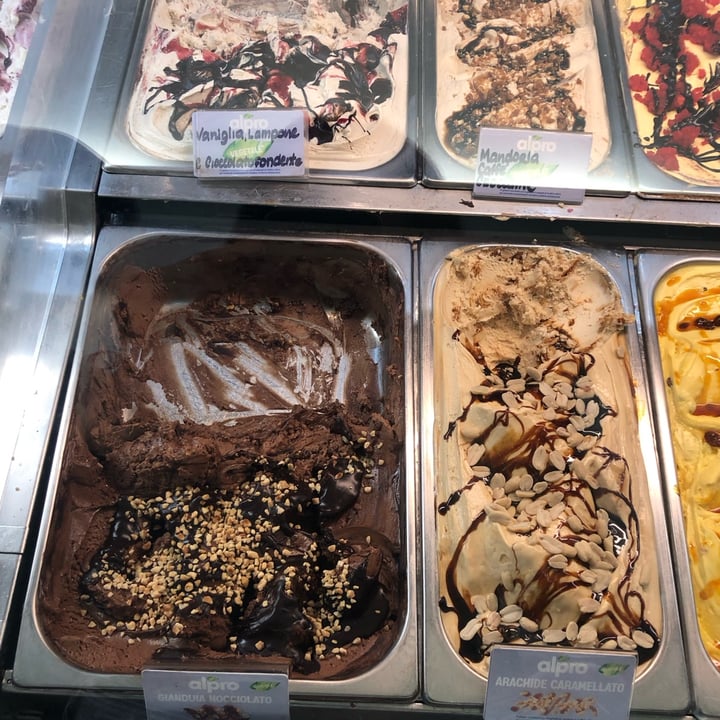 photo of Gelateria Borghi Gelato Alpro shared by @frappa on  06 May 2024 - review