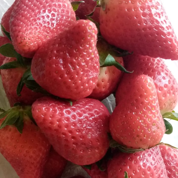 photo of Garden frutta Fragole shared by @valeveg75 on  14 Apr 2024 - review