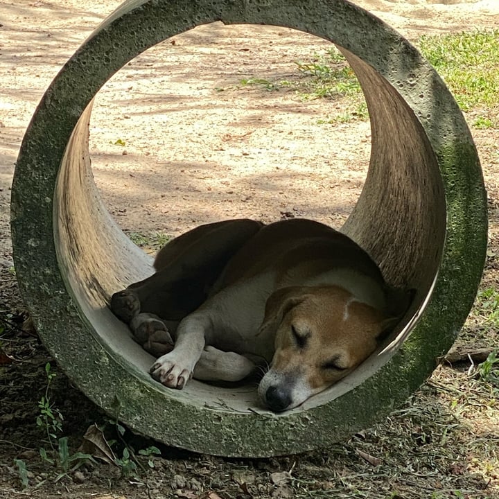 photo shared by @whereslucie on  23 Aug 2024 - post