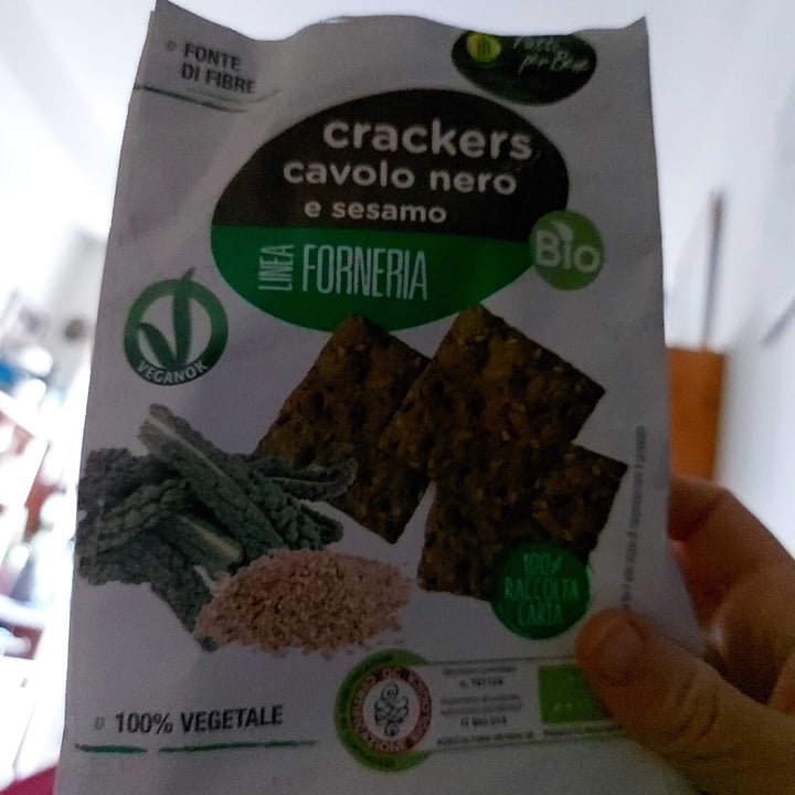 photo of Fatti per Bene Crackers Cavolo Nero E Sesamo shared by @loryunni78 on  24 Nov 2023 - review