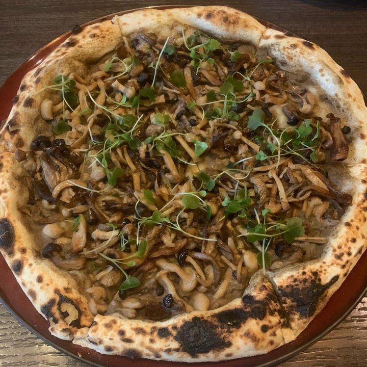 photo of Amò Truffle Pizza shared by @winstonian on  04 Aug 2024 - review