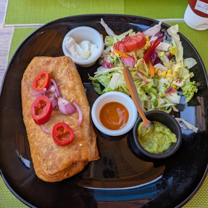 photo of Mr. Taco Vegetable Chimichanga shared by @bethany777 on  30 Apr 2025 - review