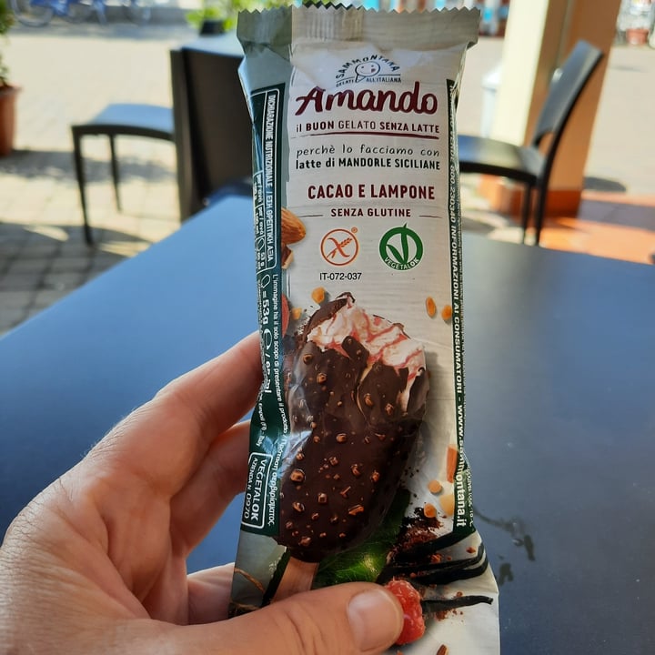 photo of Sammontana cacao e lampone shared by @serenafi on  24 Aug 2023 - review