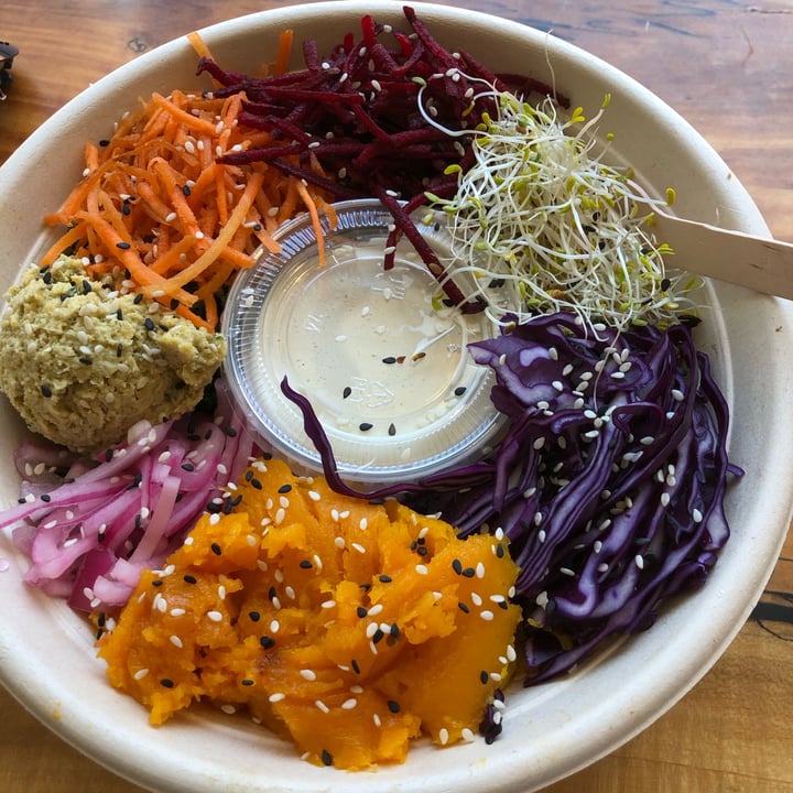 photo of Healthy Rabbit Hippy Comminity Bowl shared by @sueprozak on  06 Jun 2024 - review