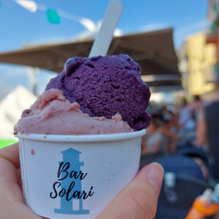 photo of Bar Solari Coppetta 2 gusti mora del Giglio e fico del Giglio shared by @cloudyaquilegia on  17 Aug 2025 - review